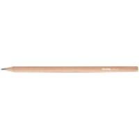 Niceday Pencil HBPN HB Pack of 12