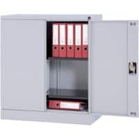 Realspace Regular Door Cupboard Steel 2 Shelves Lockable 920 x 420 x 1,000 mm Silver