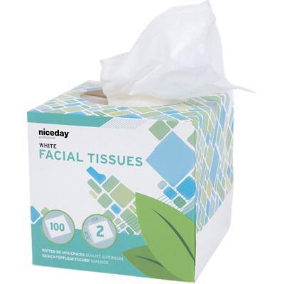 Niceday Professional Facial Tissue Box Standard 2 Ply 100 Sheets