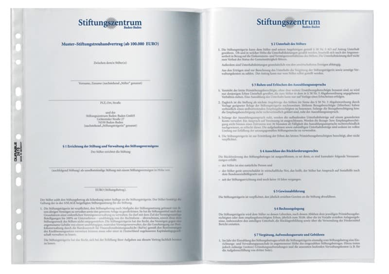 DURABLE Punched Pockets  A3 Clear Transparent 60 Microns PP (Polypropylene) Top Opening 11 Holes Pack of 10