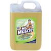 Mr Muscle Floor Cleaner Lightly Fragranced 5L