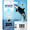 Epson T7605 Original Ink Cartridge C13T76054010 Cyan