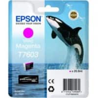Epson T7603 Original Ink Cartridge C13T76034010 Magenta