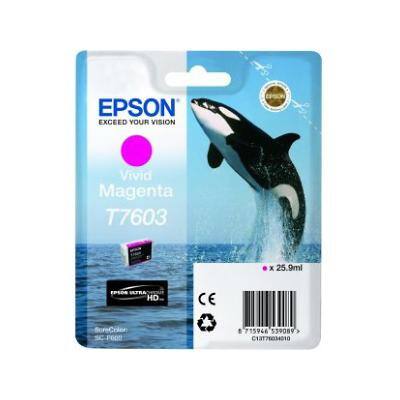 Epson T7603 Original Ink Cartridge C13T76034010 Magenta