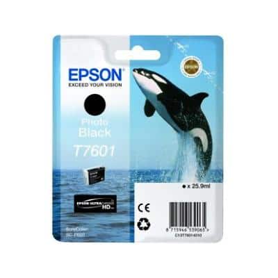 Epson T7601 Original Ink Cartridge C13T76014010 Photo Black