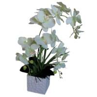 Artificial Plant Orchids Plastic 600 mm Green & White