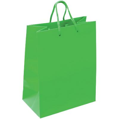 Blake Carrier Bag Green 240 (W) mm 100 Pieces